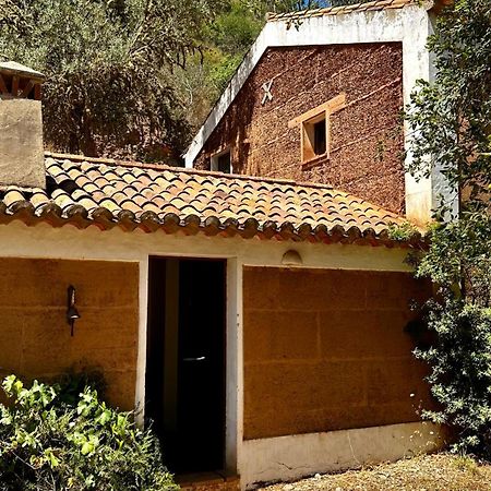 Affittacamere Casas Da Cerca Troviscais Esterno foto