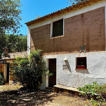 Affittacamere Casas Da Cerca Troviscais Esterno foto