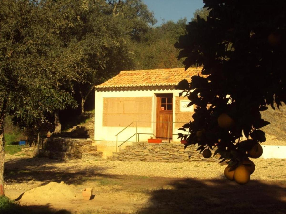Affittacamere Casas Da Cerca Troviscais Esterno foto