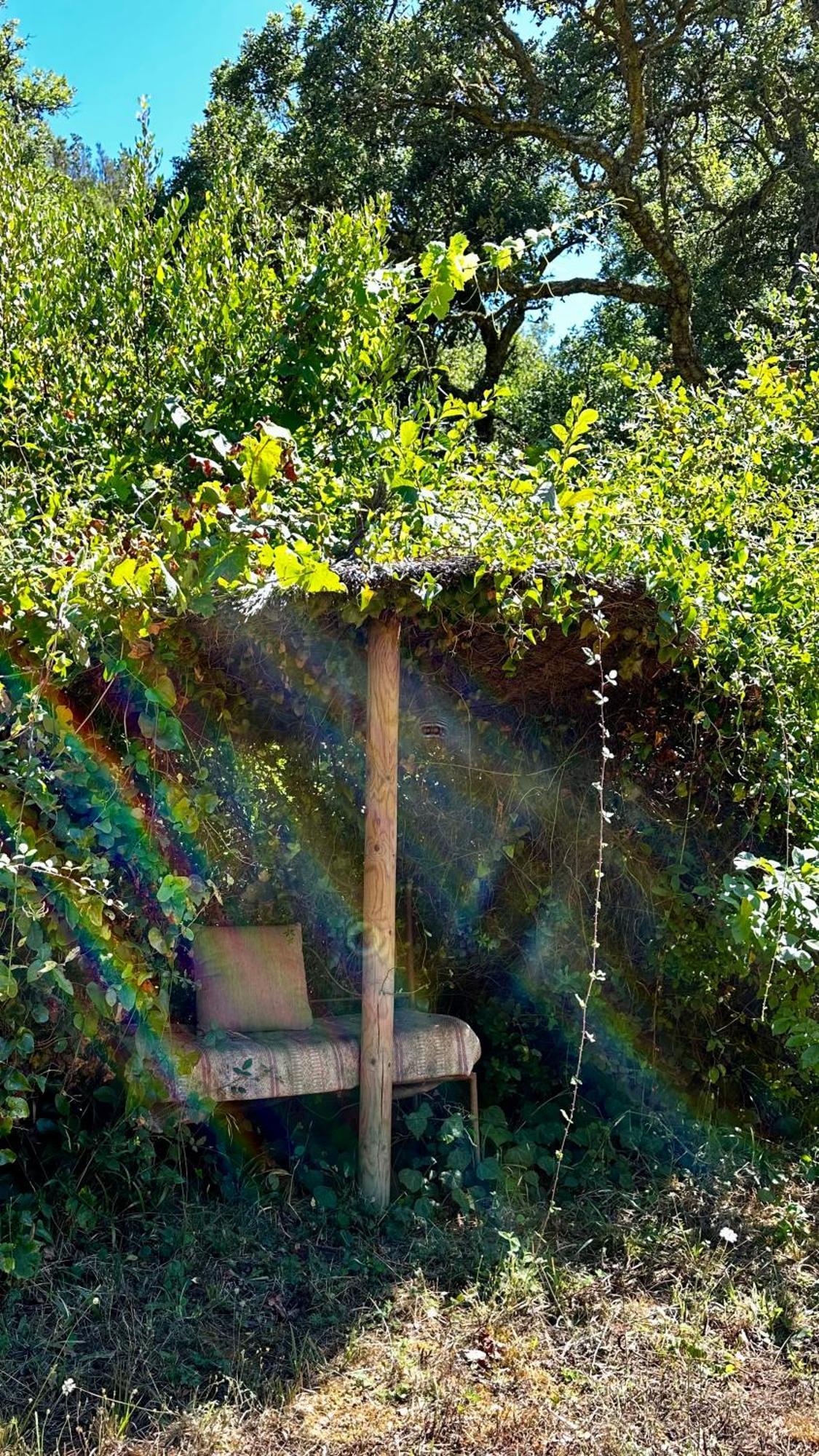 Affittacamere Casas Da Cerca Troviscais Esterno foto